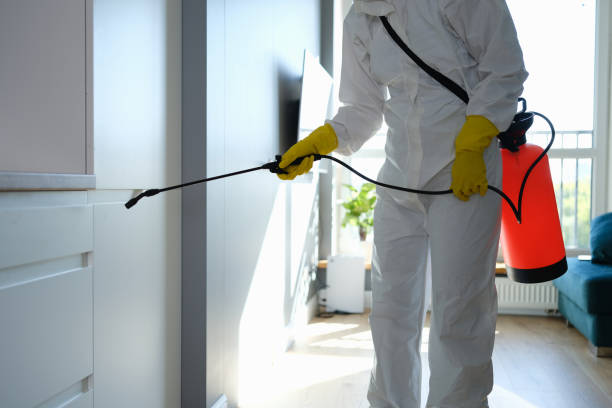 Best Mold Odor Removal Services  in Rmel By The Sea, CA