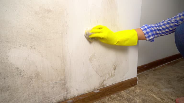 Mold Remediation for Vacation Homes in Carmel By The Sea, CA