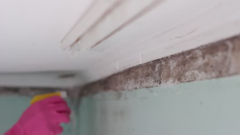 Mold Remediation for Rental Properties in Carmel By The Sea, CA